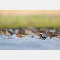 5760 x 3840 Px   _RM_180805__D3_5657.jpg