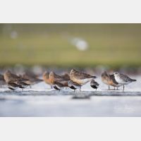 5760 x 3840 Px   _RM_180805__D3_5665.jpg