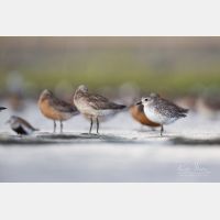 5760 x 3840 Px   _RM_180805__D3_5692.jpg