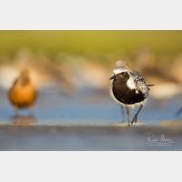 5760 x 3840 Px   _RM_180805__D3_5719.jpg