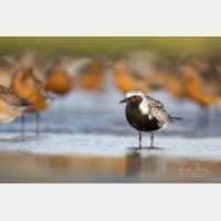 5760 x 3840 Px   _RM_180805__D3_5844.jpg