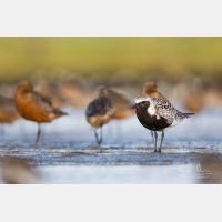 5760 x 3840 Px   _RM_180805__D3_5852.jpg