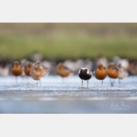 5760 x 3840 Px   _RM_180805__D3_5875.jpg