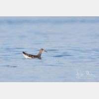 3123 x 2082_Px _RM_110325_MG_4485.jpg