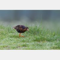 3456 x 2304_Px _RM_140428_MG_1598.jpg