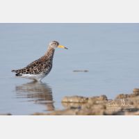 3720 x 2480_Px _RM_110325_MG_4182.jpg