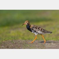 4259 x 2840_Px _RM_140428_MG_1823.jpg