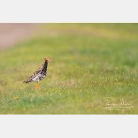 4520 x 3013_Px _RM_140428_MG_1772.jpg