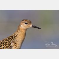 4567 x 3045_Px _RM_120907_MG_0219.jpg