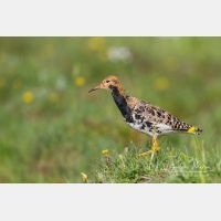 4591 x 3060_Px _RM_140428_MG_1804.jpg