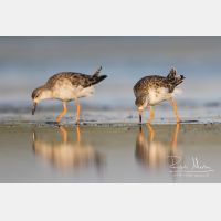 4751 x 3167_Px _RM_170813_MG_8596.jpg