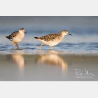 5157 x 3438_Px _RM_170813_MG_8616.jpg