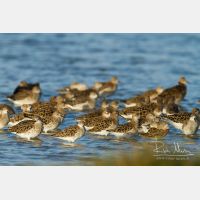 5184 x 3456_Px _RM_130208_MG_4046.jpg