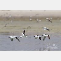 3569 x 2379_Px _RM_130131_MG_3535.jpg