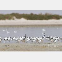 3900 x 2600_Px _RM_130131_MG_3652.jpg