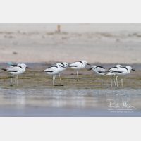 4821 x 3214_Px _RM_130131_MG_3712.jpg