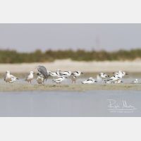 4847 x 3231_Px _RM_130131_MG_3657.jpg