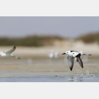 5021 x 3347_Px _RM_130131_MG_3674.jpg