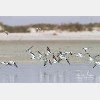 5139 x 3426_Px _RM_130131_MG_3534.jpg