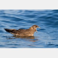 3705 x 2470_Px _RM_120907_MG_0958.jpg