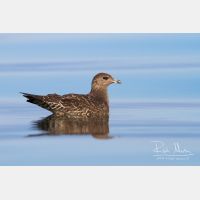 3837 x 2558_Px _RM_120907_MG_0776.jpg