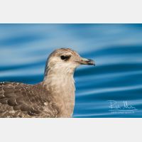 3901 x 2600_Px _RM_130904_MG_6284.jpg