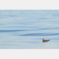 3991 x 2661_Px _RM_130904_MG_6360.jpg