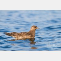 4001 x 2667_Px _RM_120907_MG_0998.jpg