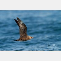 4174 x 2783_Px _RM_130904_MG_6312.jpg