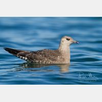 4187 x 2791_Px _RM_130904_MG_6255.jpg