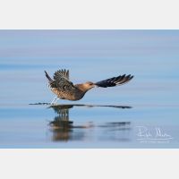 4211 x 2807_Px _RM_120907_MG_0615.jpg