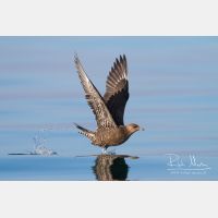 4351 x 2900_Px _RM_120907_MG_0616.jpg