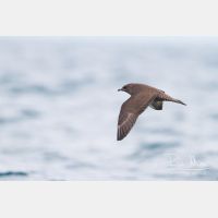 4418 x 2945_Px _RM_120902_MG_9343.jpg