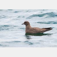 4439 x 2960_Px _RM_120902_MG_9260.jpg