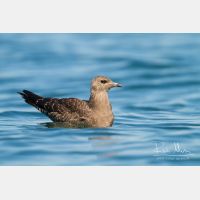 4571 x 3048_Px _RM_130904_MG_5861.jpg