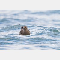 4693 x 3128_Px _RM_120902_MG_9298.jpg