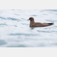 4811 x 3207_Px _RM_120902_MG_9239.jpg