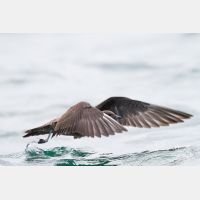 4894 x 3263_Px _RM_120902_MG_9357.jpg