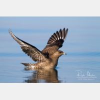 4912 x 3275_Px _RM_120907_MG_0758_b.jpg