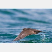 4927 x 3285_Px _RM_120902_MG_8977.jpg