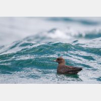 4941 x 3294_Px _RM_120902_MG_9101.jpg