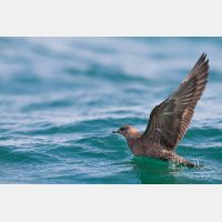 5184 x 3456_Px _RM_120902_MG_8975.jpg