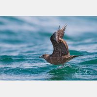 5184 x 3456_Px _RM_120902_MG_8976_b.jpg