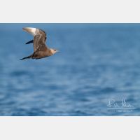 5184 x 3456_Px _RM_130904_MG_6328.jpg