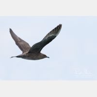 5550 x 3699_Px _RM_120902_MG_9190_b.jpg