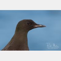 2585 x 1723_Px _RM_070701_MG_2728.jpg