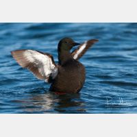 2997 x 1998_Px _RM_070701_MG_2627_b.jpg