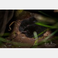 3099 x 2066_Px _RM_070701_MG_2693.jpg