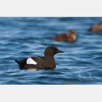 3110 x 2074_Px _RM_070701_MG_2690.jpg