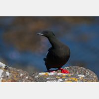 3127 x 2084_Px _RM_070701_MG_2401.jpg